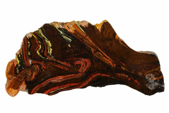 Polished Tiger Iron Stromatolite Slab - Billion Years #185918